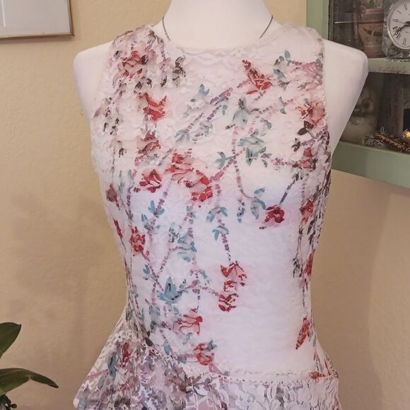 Bebe Lace Dress with Blue and Deep Pink Accents. Asymmeyric. Asian Inspired.Lace - Picture 2 of 11